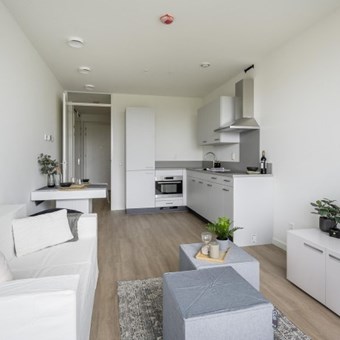 Rotterdam, Baan, 2-kamer appartement - foto 3