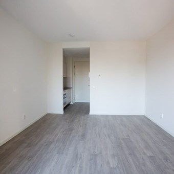 Alkmaar, Rogier van der Weydestraat, zelfstandige studio - foto 3