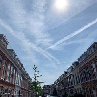 Haarlem, Saenredamstraat, benedenwoning - foto 2