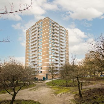 Amsterdam, Staalmeesterslaan, 4-kamer appartement - foto 3