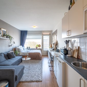 Groningen, Populierenlaan, zelfstandige studio - foto 2