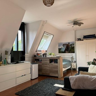 Breda, Nieuwe Ginnekenstraat, zelfstandige studio - foto 3