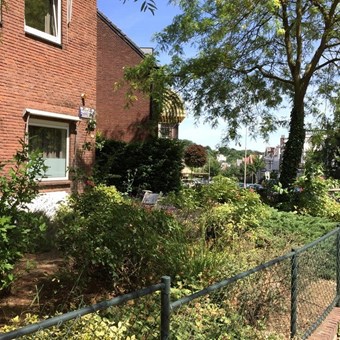 Arnhem, Van Lawick van Pabststraat, kamer - foto 2