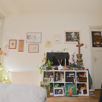 Groningen, Floresplein, kamer - foto 3