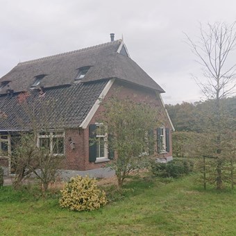 Voorst (Gem. Voorst), Nijenbeekseweg, woonboerderij - foto 2