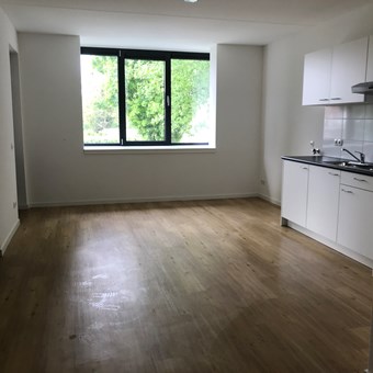 Eindhoven, Lijmbeekstraat, zelfstandige studio - foto 3