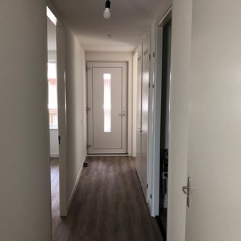 Utrecht, Parkzichtlaan, 3-kamer appartement - foto 3
