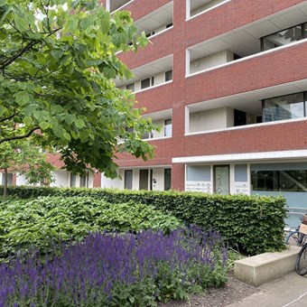 Utrecht, Veilingstraat, bovenwoning - foto 3