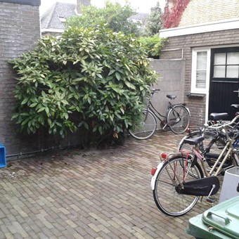 Den Bosch, Silenenstraat, studentenkamer - foto 2