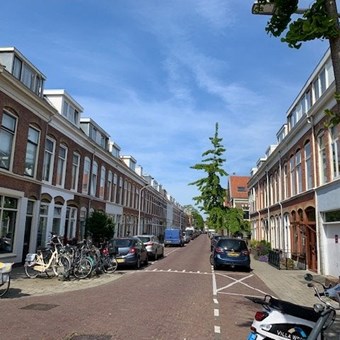 Haarlem, Saenredamstraat, benedenwoning - foto 3