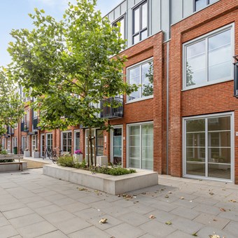Haarlem, Vijfhuizerstraat, zelfstandige studio - foto 2