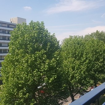 Arnhem, Gildemeestersplein, studentenkamer - foto 2