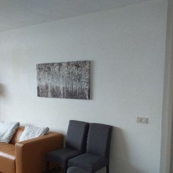 Eindhoven, Bomanshof, 2-kamer appartement - foto 3