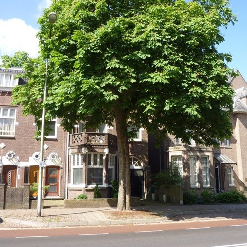 Nijmegen, Groesbeekseweg, kamer - foto 1