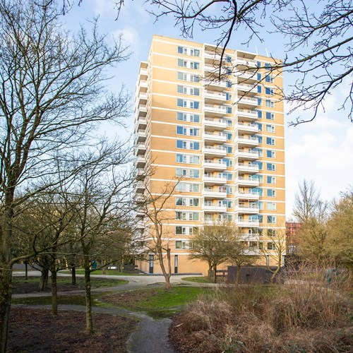 Amsterdam, Staalmeesterslaan, 4-kamer appartement - foto 1