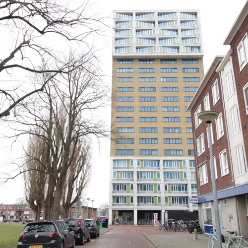 Groningen, Wielewaalplein, 2-kamer appartement - foto 1