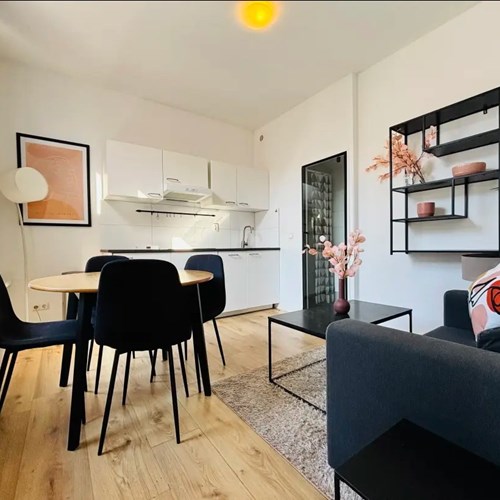 Den Haag, Ripperdastraat, semi zelfstandige studio - foto 1