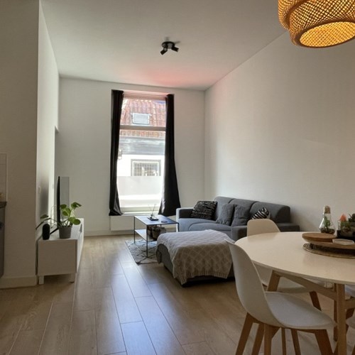 Utrecht, Drieharingstraat, 2-kamer appartement - foto 1