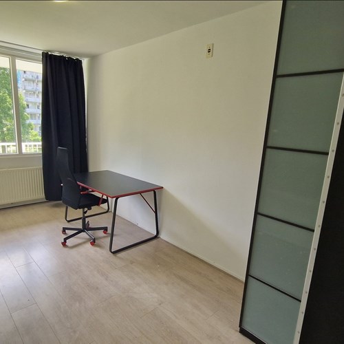 Amsterdam, Hofgeest, kamer - foto 1