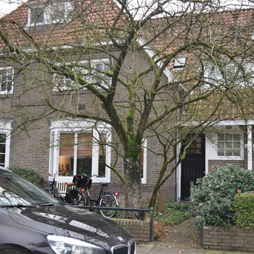 Eindhoven, Uiverlaan, kamer - foto 1