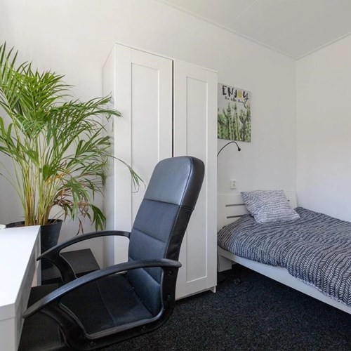 Rotterdam, Lepelaarsingel, kamer - foto 1