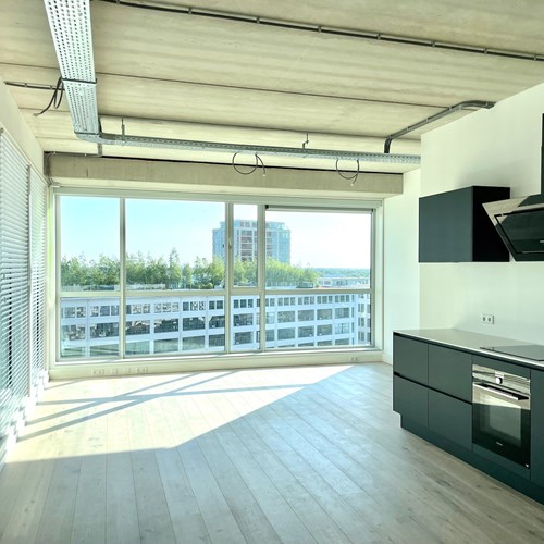 Eindhoven, Philitelaan, loft woning - foto 1