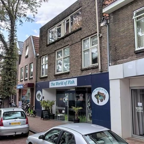 Zwolle, Thomas a Kempisstraat, kamer - foto 1