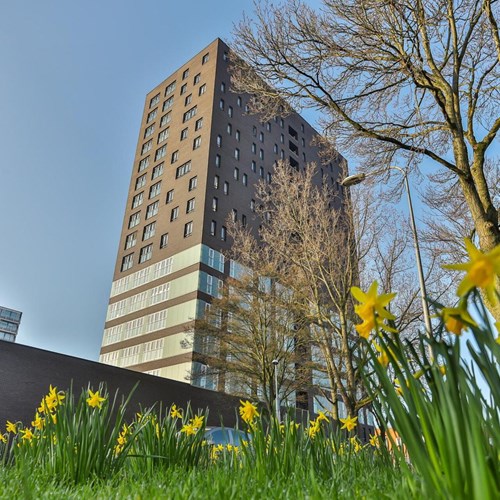 Groningen, Siersteenlaan, 3-kamer appartement - foto 1