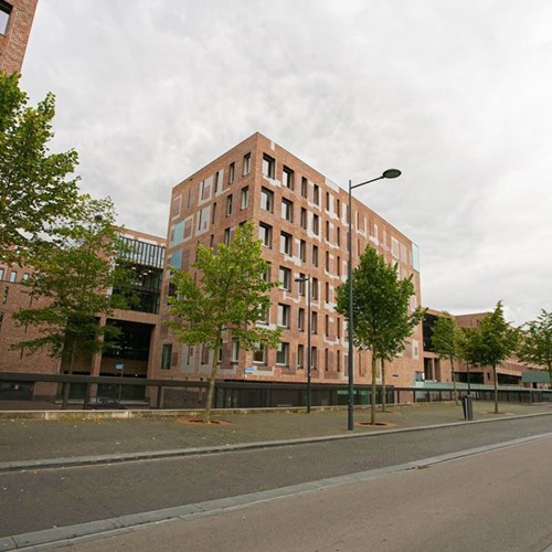 Breda, Françoise van Savoyetoren, maisonnette - foto 1