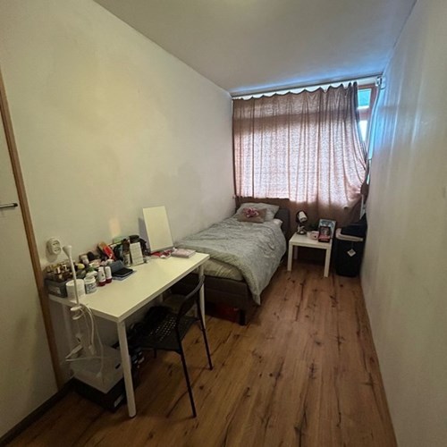 Arnhem, Gildemeestersplein, studentenkamer - foto 1