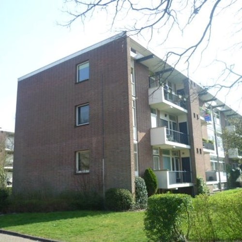 Breda, Steijnlaan, 3-kamer appartement - foto 1