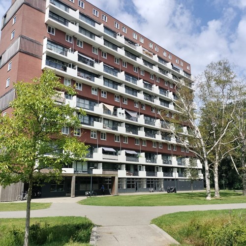 Hengelo (OV), Jan Wiegersstraat, 5-kamer appartement - foto 1