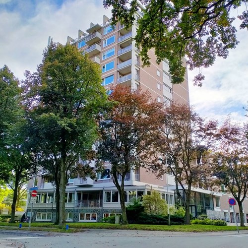 Groningen, Helper Brink, 2-kamer appartement - foto 1