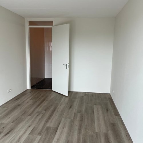 Amsterdam, Pantograafstraat, 2-kamer appartement - foto 1