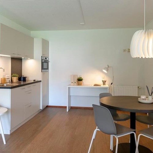 Eindhoven, Glorieuxlaan, zelfstandige studio - foto 1