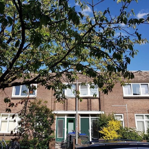 Hilversum, Chrysantenstraat, 3-kamer appartement - foto 1