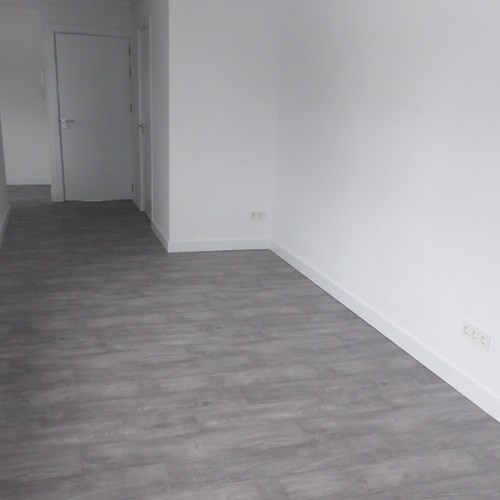 Tilburg, Nicolaas Pieckstraat, semi zelfstandige studio - foto 1