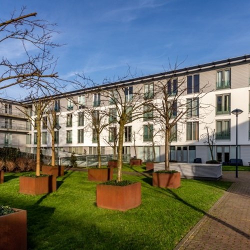 Haarlem, Bellevuelaan, 2-kamer appartement - foto 1