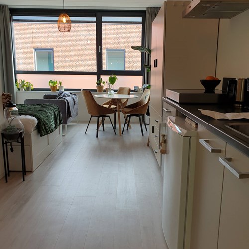 Utrecht, Oudlaan, zelfstandige studio - foto 1