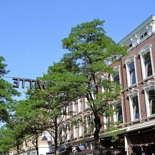 Rotterdam, Witte de Withstraat, zelfstandige studio - foto 1