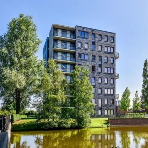 Amsterdam, 's-Gravendijkdreef, 2-kamer appartement - foto 1