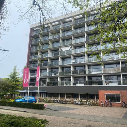 Apeldoorn, Robijnstraat, zelfstandige studio - foto 1