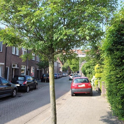Tilburg, Billitonstraat, eengezinswoning - foto 1