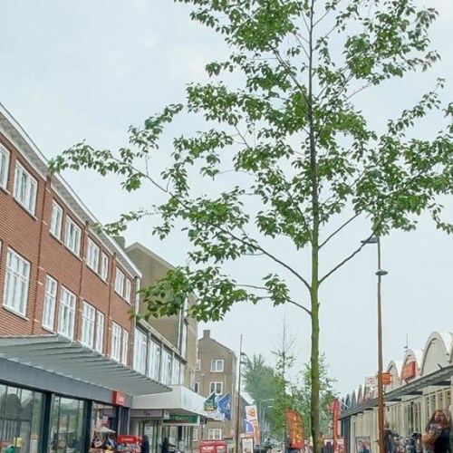 IJmuiden, Diezestraat, maisonnette - foto 1